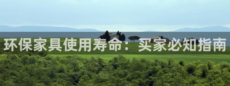杏耀平台的专用通道