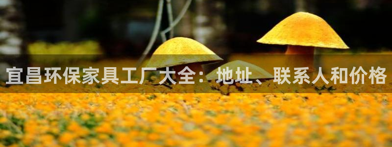 杏耀代理登录中心怎么进