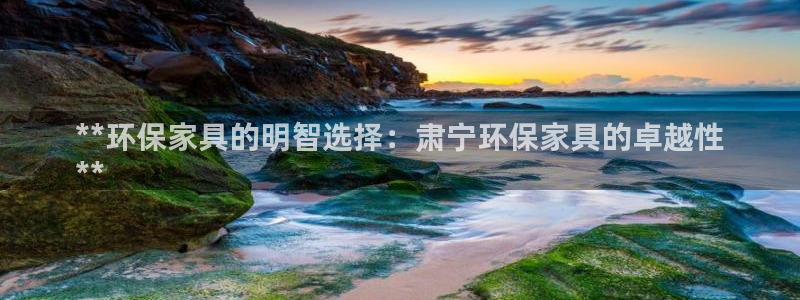 杏耀总代：**环保家具的明智选择：肃宁环保家具的卓越性
**