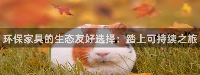 杏耀注册链接：环保家具的生态友好选择：踏上可持续之旅