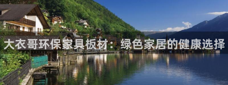 杏耀软件