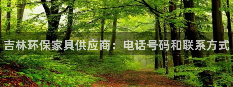 杏耀代理日工资多少