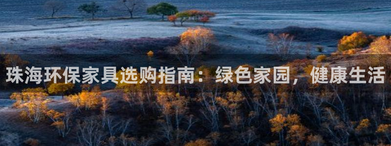 杏耀注册登入：珠海环保家具选购指南：绿色家园，健康生活