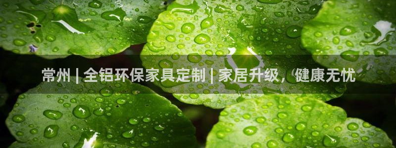 杏耀注册登录：常州 | 全铝环保家具定制 | 家居升级，健康