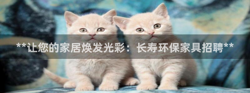 杏耀注册代理：**让您的家居焕发光彩：长寿环保家具招聘**