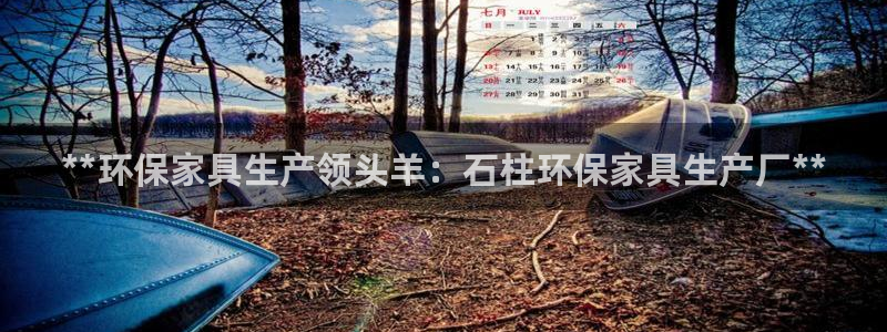 杏耀官网登录：**环保家具生产领头羊：石柱环保家具生产厂**