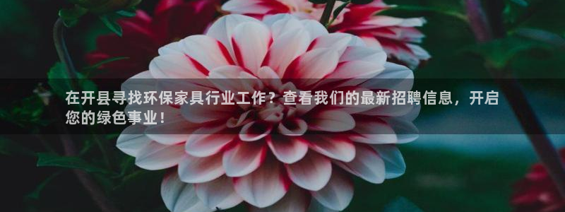 杏耀手机客户端：在开县寻找环保家具行业工作？查看我们的最新招