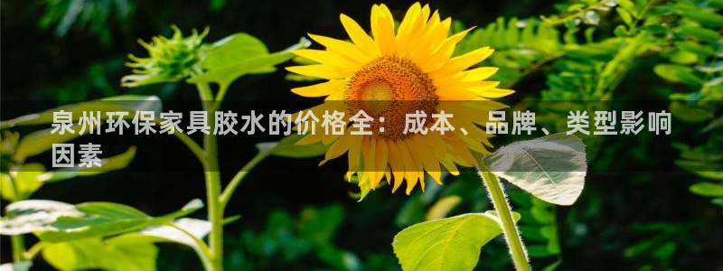 杏耀平台一安全注册入口：泉州环保家具胶水的价格全：成本、品牌