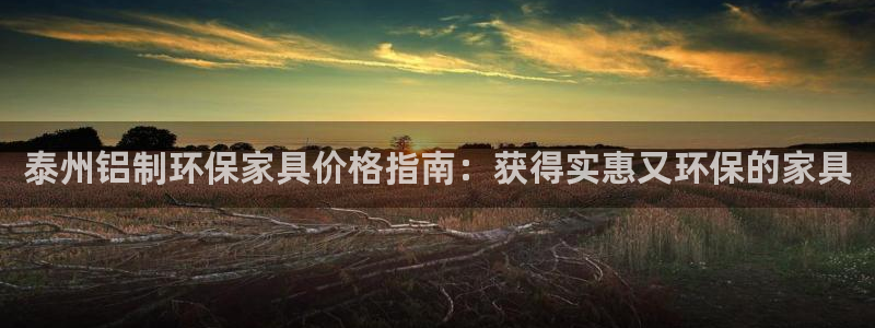 杏耀测速注册：泰州铝制环保家具价格指南：获得实惠又环保的家具