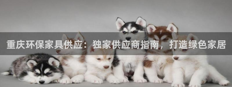 杏耀平台手机app：重庆环保家具供应：独家供应商指南，打造绿