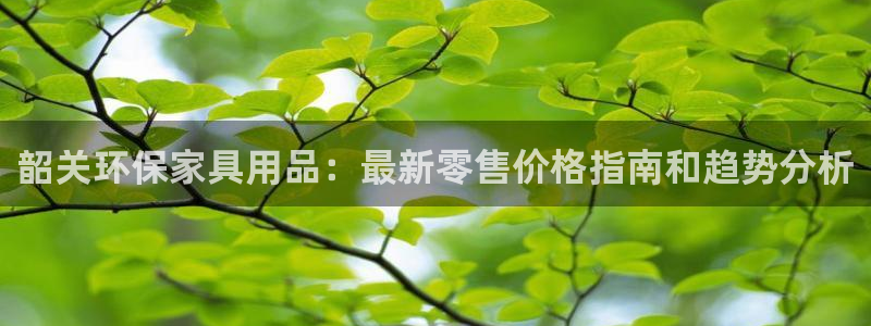 杏耀官方测速：韶关环保家具用品：最新零售价格指南和趋势分析
