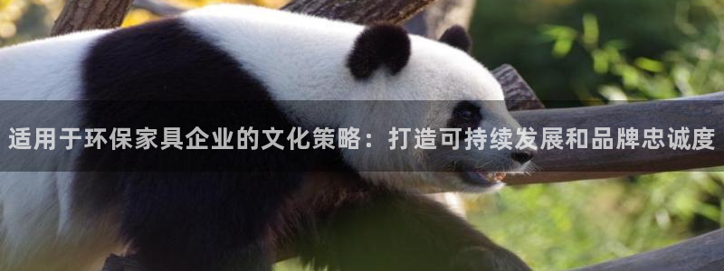 杏耀平台主管