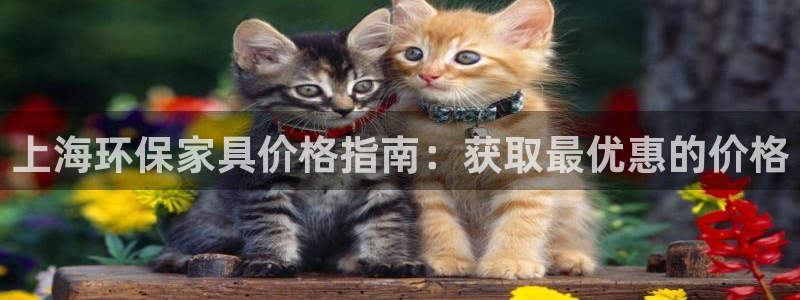 杏耀代理连接