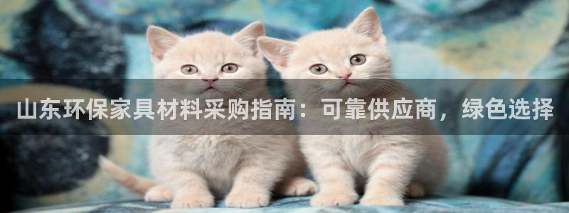 杏耀平台登录网址是什么：山东环保家具材料采购指南：可靠供应商