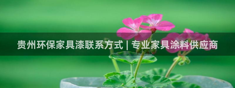 杏耀平台注册流程：贵州环保家具漆联系方式 | 专业家具涂料供
