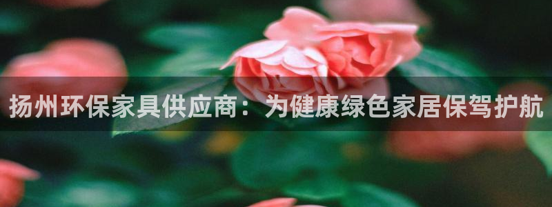 杏耀平台手机下载：扬州环保家具供应商：为健康绿色家居保驾护航