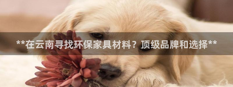 杏耀平台代理注册：**在云南寻找环保家具材料？顶级品牌和选择