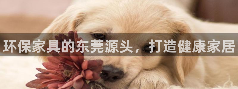 杏耀app怎样申请退款