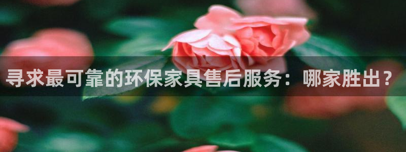 杏耀平台娱乐登陆：寻求最可靠的环保家具售后服务：哪家胜出？