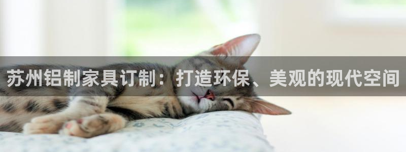 杏耀注册网址：苏州铝制家具订制：打造环保、美观的现代空间