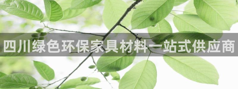 杏耀平台客户端：四川绿色环保家具材料一站式供应商