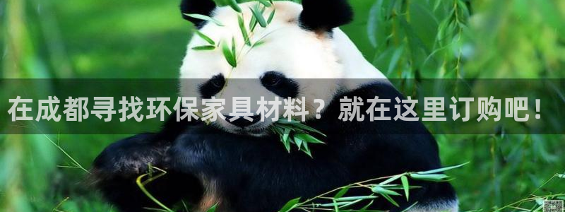 杏耀注册登录平台：在成都寻找环保家具材料？就在这里订购吧！