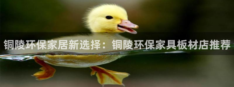 杏耀平台指定