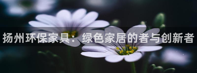 杏耀平台代理怎么赚钱的