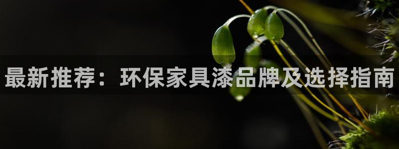 杏耀平台代理怎么赚钱快
