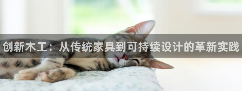 杏耀平台线路：创新木工：从传统家具到可持续设计的革新实践