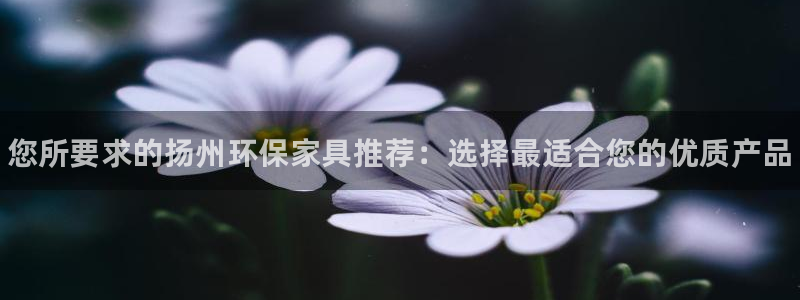 杏耀平台代理怎么赚钱快