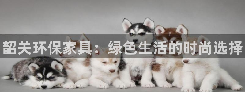 杏耀平台登录方式：韶关环保家具：绿色生活的时尚选择