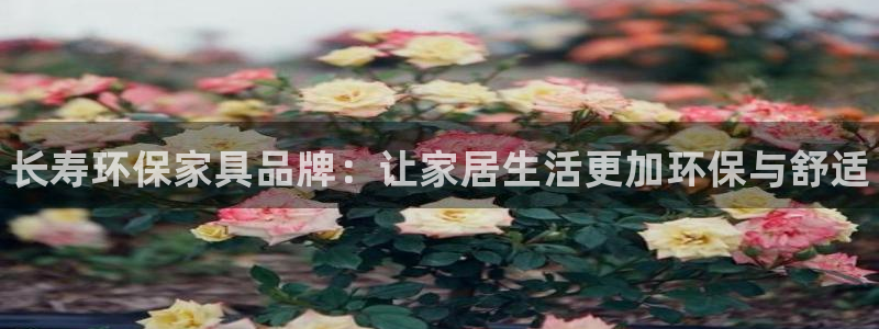 杏耀平台线路测速